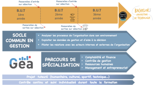 Lire la suite à propos de l’article Bachelor universitaire